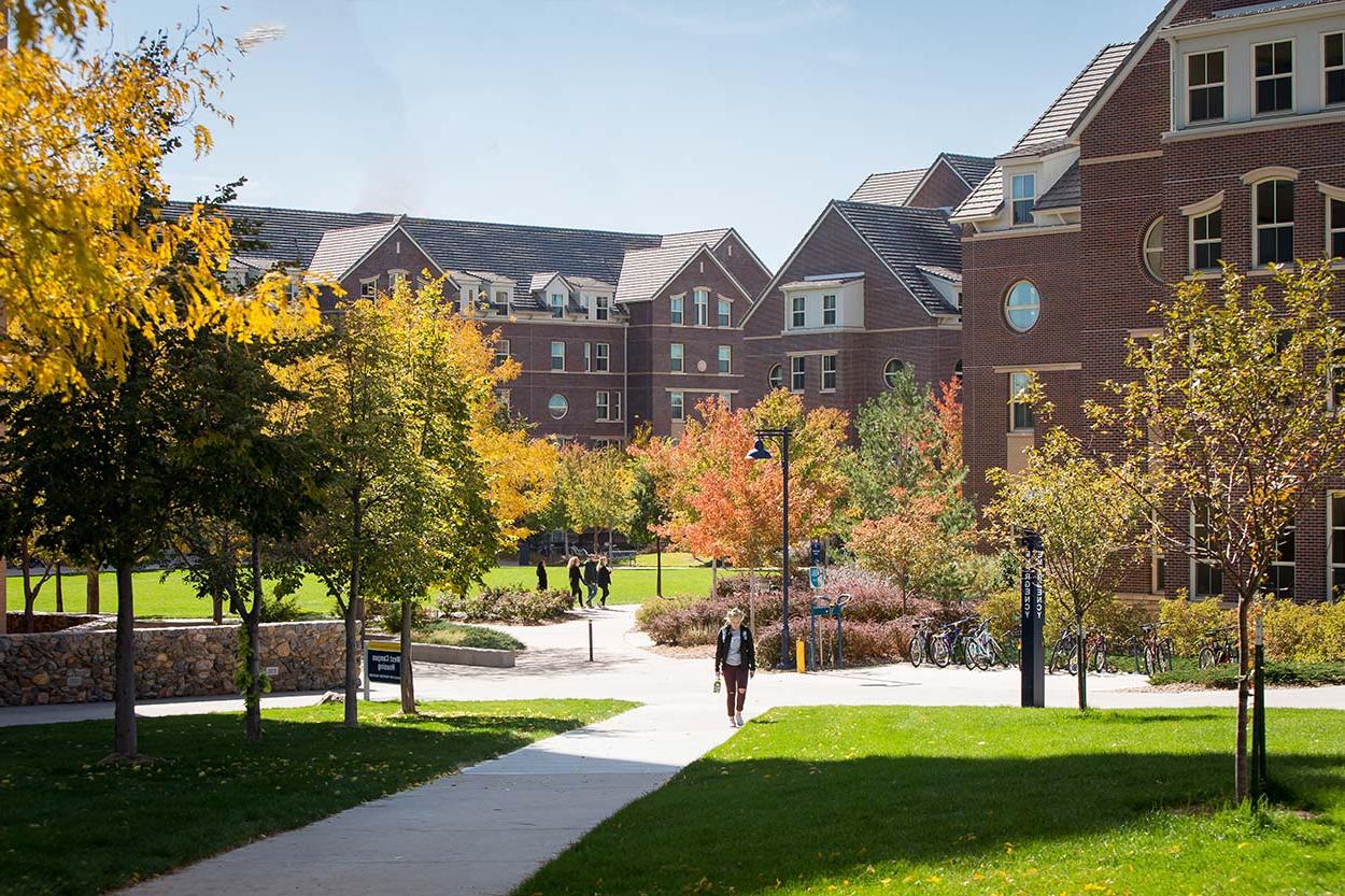 Campus grounds in the fall season.